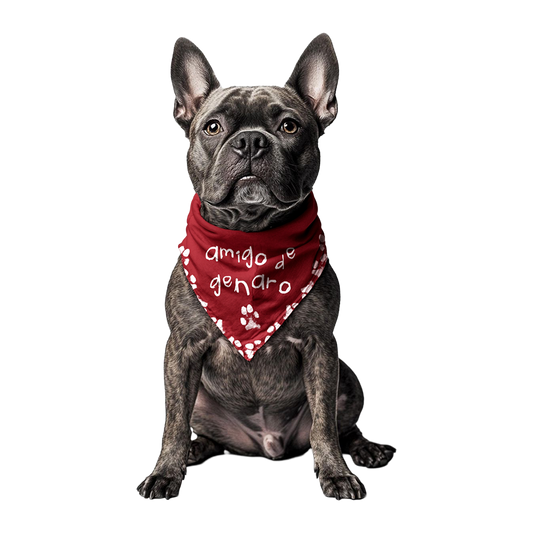 Pañoleta para perro - amigo mío 🐾