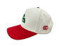 Gorra Ash Ketchum SABHOP — Charmeleon Drop